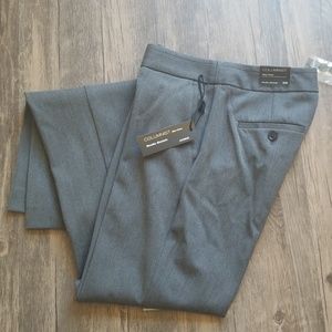 Express Columnist pant